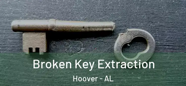  Broken Key Extraction Hoover - AL
