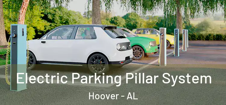 Electric Parking Pillar System Hoover - AL