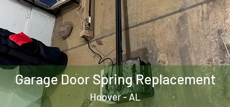  Garage Door Spring Replacement Hoover - AL