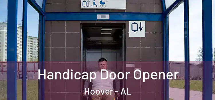 Handicap Door Opener Hoover - AL