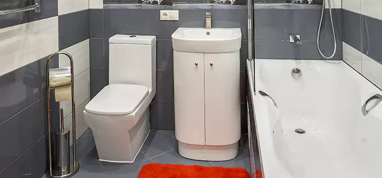 Hansgrohe Shaving Mirror Hoover