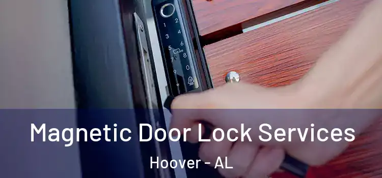 Magnetic Door Lock Services Hoover - AL